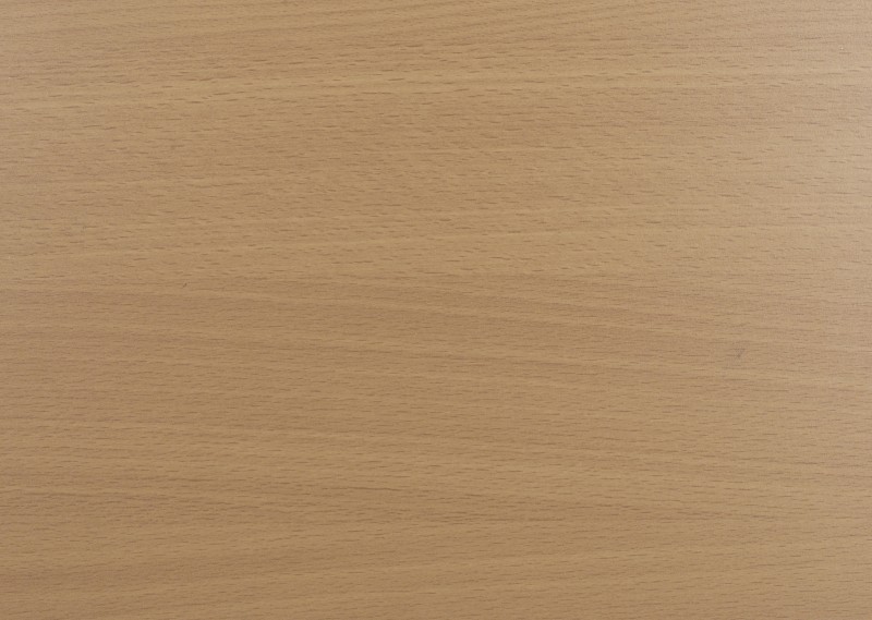 Beech